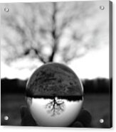 Lone Tree Lensball B W Acrylic Print