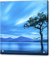 Lone Tree Milarrochy Bay Acrylic Print