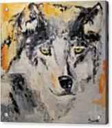 Lone Wolf Acrylic Print