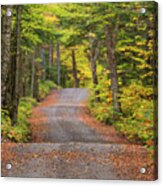 Long Autumn Road Acrylic Print