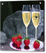 Long Haired Gray Cat With Champagne And Strawberries Acrylic Print