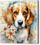 Lovely Lucy Acrylic Print