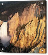 Lower Falls, Grand Canyon Of The Yellowstone At Sunrise Acrylic Print