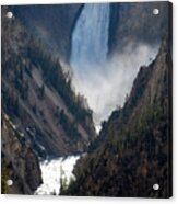 Lower Falls, Yellowstone National Park, Wyoming Acrylic Print