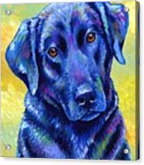 Loyal Companion - Colorful Black Labrador Retriever Dog Acrylic Print