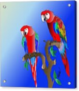 Macaws In The Tree Acrylic Print