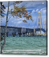 Mackinac Bridge In Autumn At The Michigan Straits Acrylic Print
