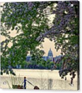 Magnificent Monona Bay Morning - Wisconsin Capitol With Flowering Cherry At Lake Monona Acrylic Print