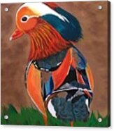 Mandarin Duck-fowl Play Acrylic Print