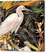 Marsh Heron Acrylic Print