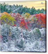 Massachusetts Snow Foliage At The Wachusett Reservoir Acrylic Print