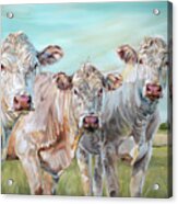 Mavis In The Middle - 3 Cows Painting Acrylic Print