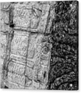 Mayan Wall Carvings - Chichen Itza Acrylic Print