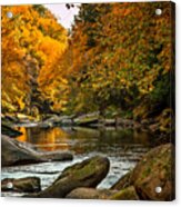 Mcconnell's Mill State Park Acrylic Print