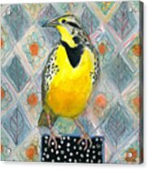 Majestic Meadowlark Bird Acrylic Print