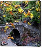 Medieval Stoned Bridge Water Flowing In The River In Autumn. Acrylic Print