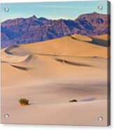 Mesquite Dunes At Death Valley Acrylic Print