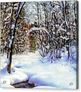 Michigan Snowscene Acrylic Print