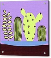 Mid Century Tabletop Cactus Acrylic Print