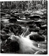 Middle Prong Little River 41 Acrylic Print