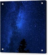 Milky Way And Trees 2 Acrylic Print