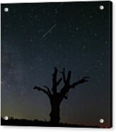 Milky Way Silhouette Near Star, Texas, Acrylic Print