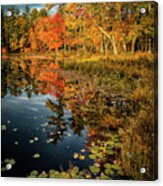 Millpond Foliage Acrylic Print