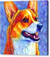 Mischief Maker - Colorful Pembroke Welsh Corgi Dog Acrylic Print