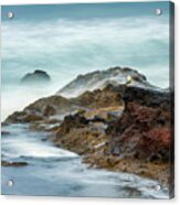 Mist Along The Coast Acrylic Print