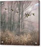 Misty Pink With Geese Acrylic Print