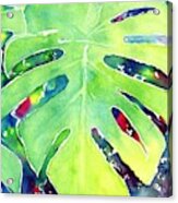 Monstera Tropical Leaves 1 Acrylic Print
