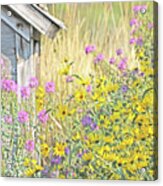 Montana's Summer Flowers Acrylic Print