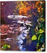 Montour Creek In The 1990s Acrylic Print