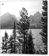 Moody Monochrome Jenny Lake Grand Tetons Acrylic Print