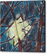 Moonlight Through The Trees Acrylic Print