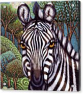 Moonlit Zebra Mission Acrylic Print