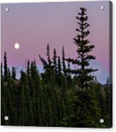 Moonrise During Sunset Colors In Olympic National Park Acrylic Print