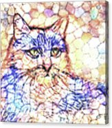 Mosaic Cat 670 Acrylic Print