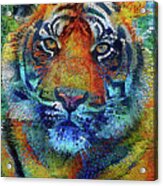 Mosaic Tiger Portrait Acrylic Print