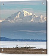 Mount Baker, A Bald Eagle, And Boundary Bay Acrylic Print