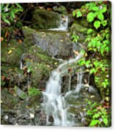 Mountain Trickle Acrylic Print