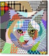 Multicolor Cat 678 Patterns Acrylic Print