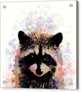Multicolor Raccoon 27 Acrylic Print
