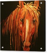 Mustang Sally Acrylic Print