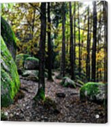 Mystic Landscape Of Nature Park Blockheide With Granite Rock Formations In Waldviertel In Austria Acrylic Print