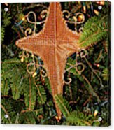 Nativity Star Acrylic Print