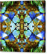 Nature Mirror With Saturated Colors #1 Acrylic Print