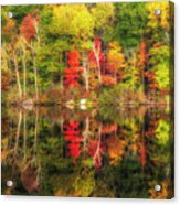 Natures Fall Color Palette Acrylic Print
