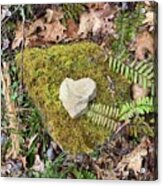 Natures Love Note Acrylic Print