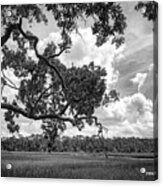 Natures Serenity In Black And White Acrylic Print
